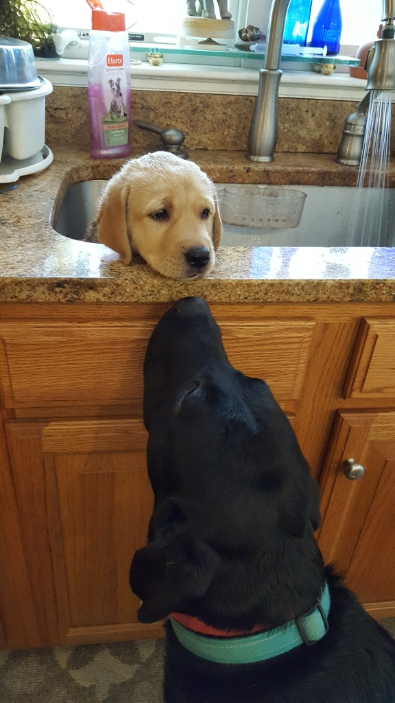 Maggie and Cooper