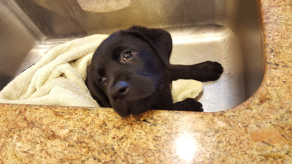 Ruben likes his bath