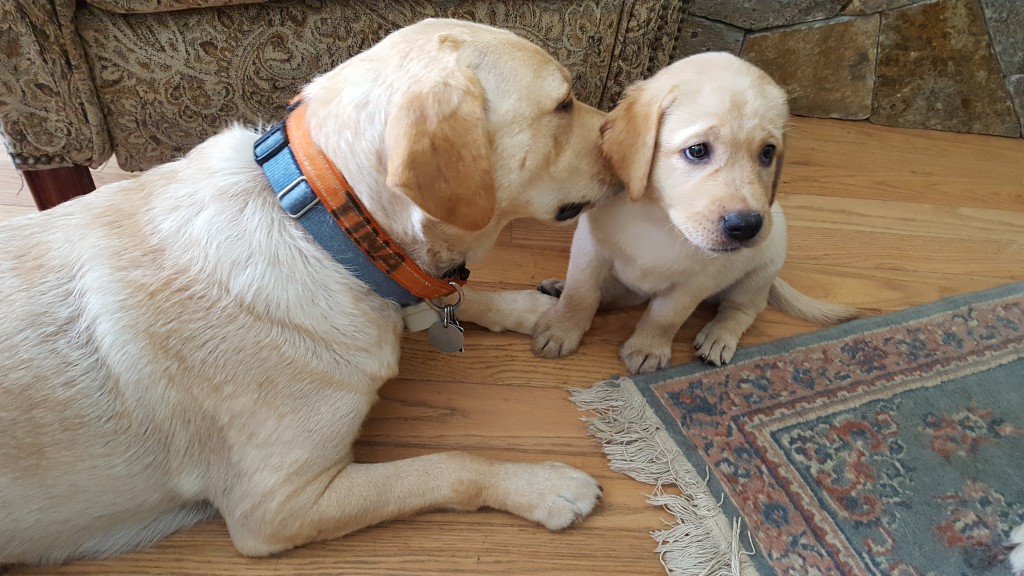 Tina checks her baby Maggie