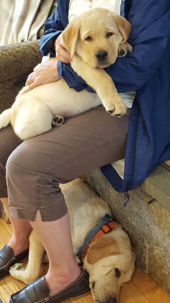 Tina stays close as Brodie gets ready to leave