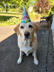 Hank on his birthday