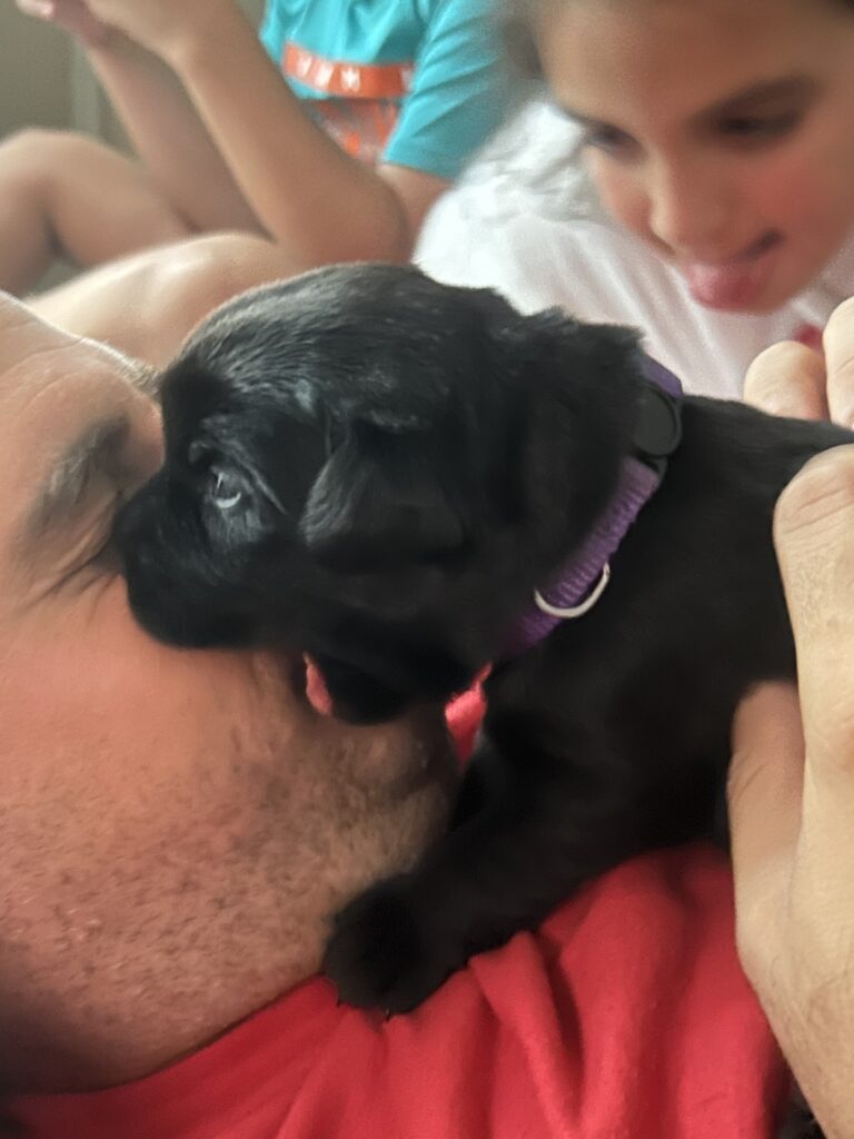 Luna pups eating Johnny nose July 2025