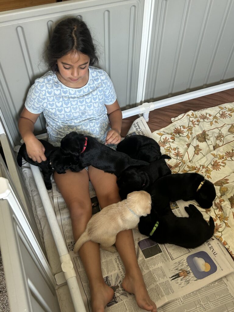 Luna pups with Fi July 2025