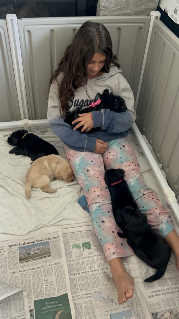 Luna pups wth Jules July 2025