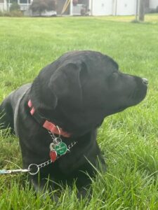 Maggie 1B